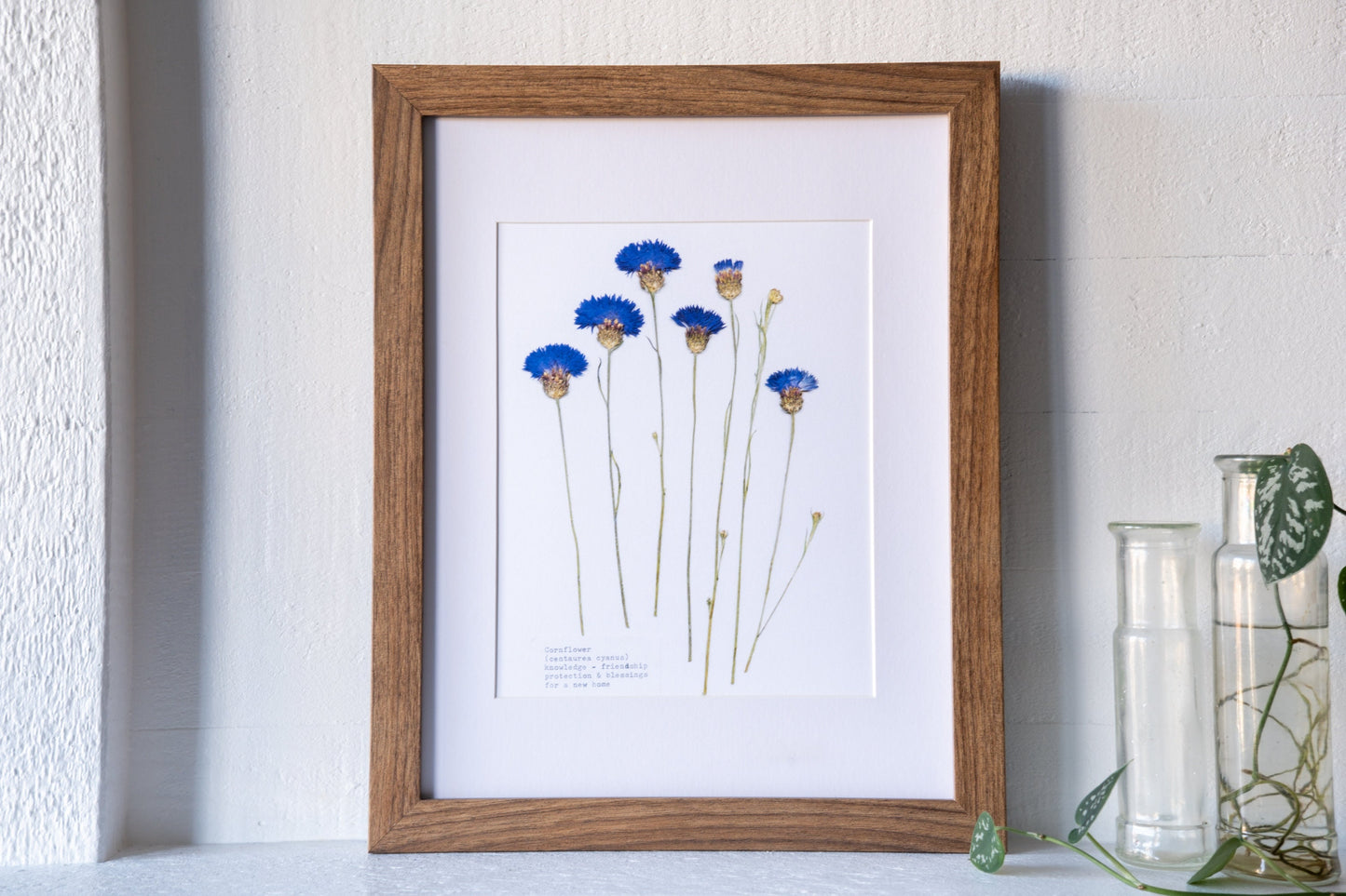 Cornflower Pressed Flower Art Print | 8x10