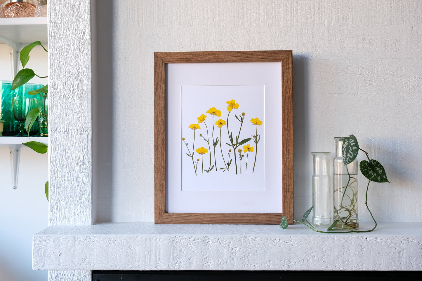 Pressed Buttercup Flower Art Print | 8x10