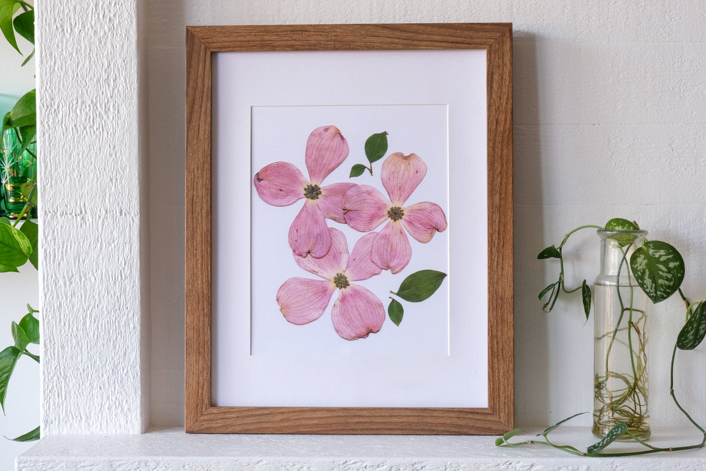 Pink Dogwood Pressed Flower Art Print | 8x10