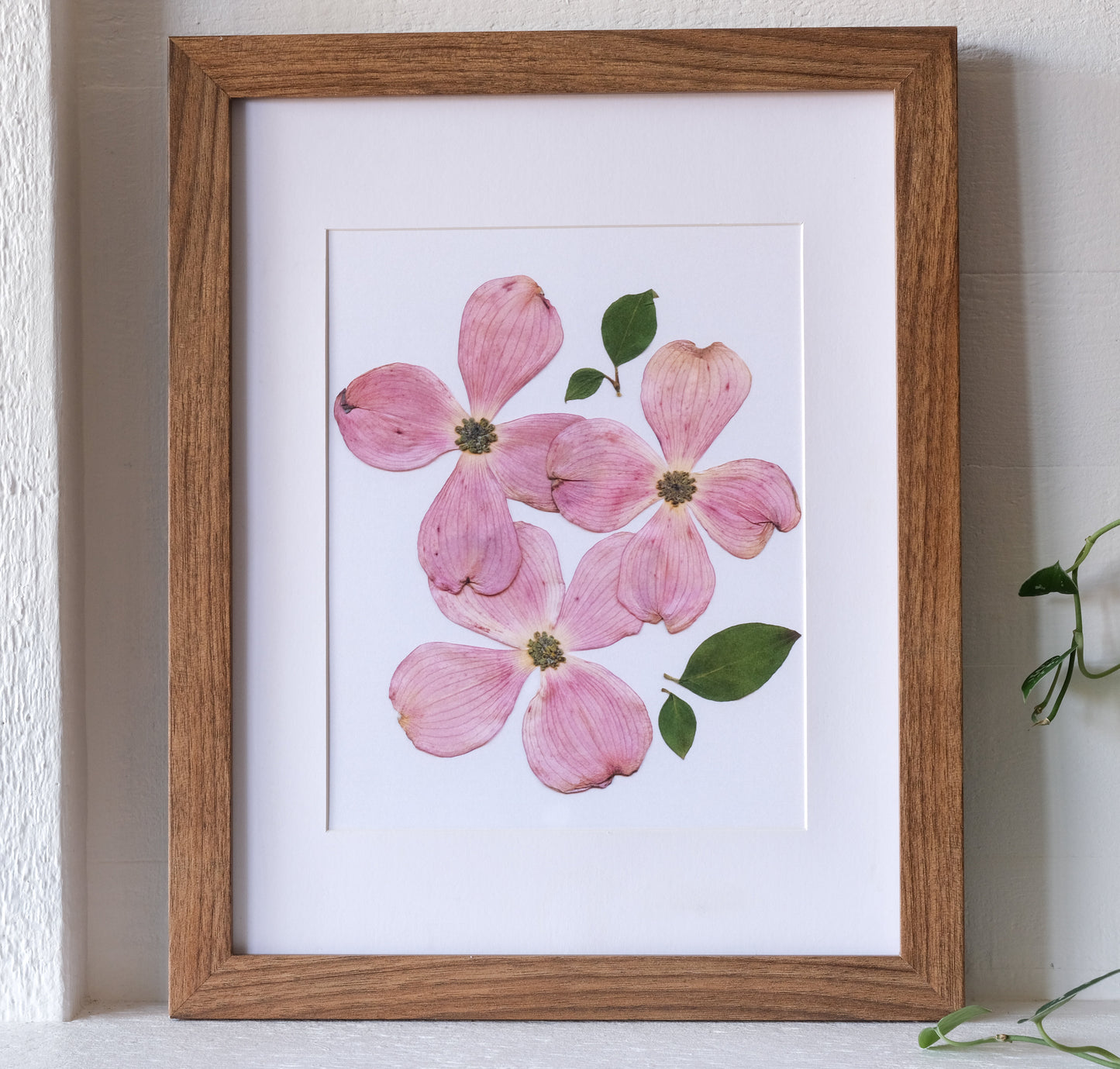 Pink Dogwood Pressed Flower Art Print | 8x10