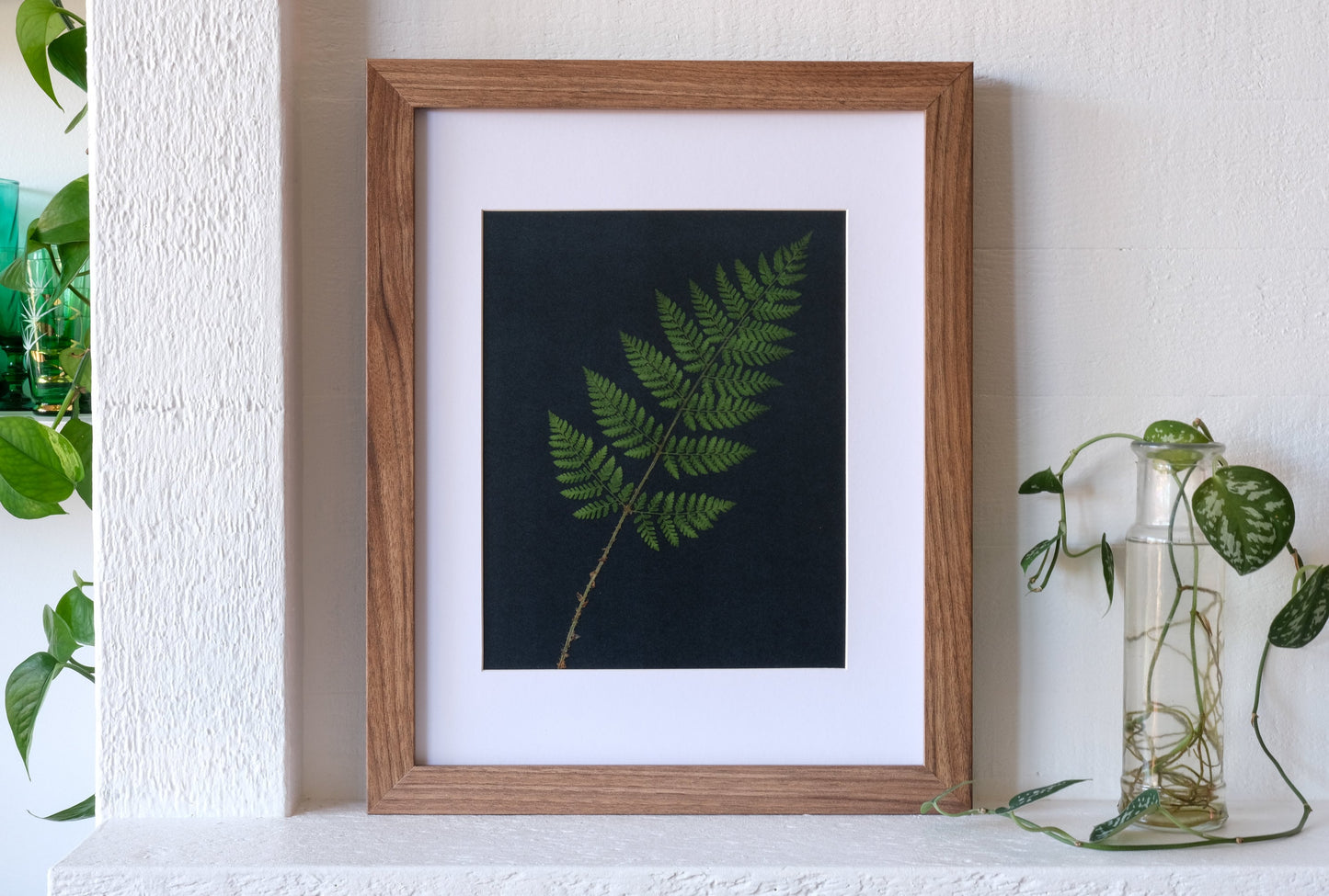 Pressed Fern Print on Black Background | 8x10