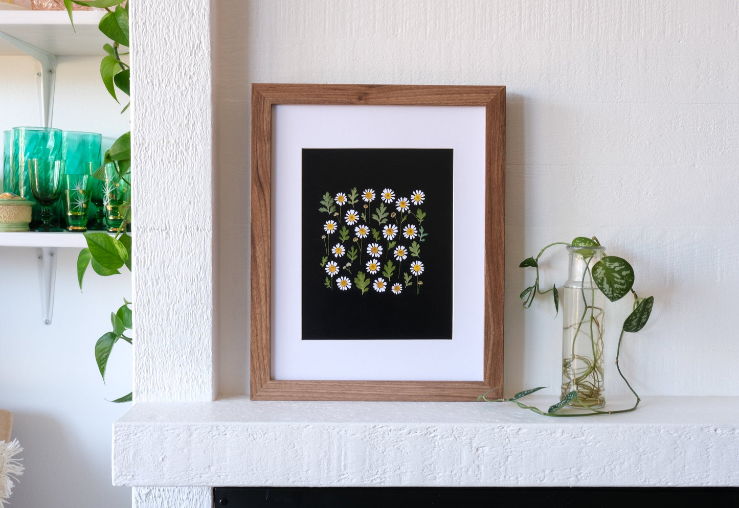 Feverfew (Wild Chamomile) Pressed Flower Print - 8x10