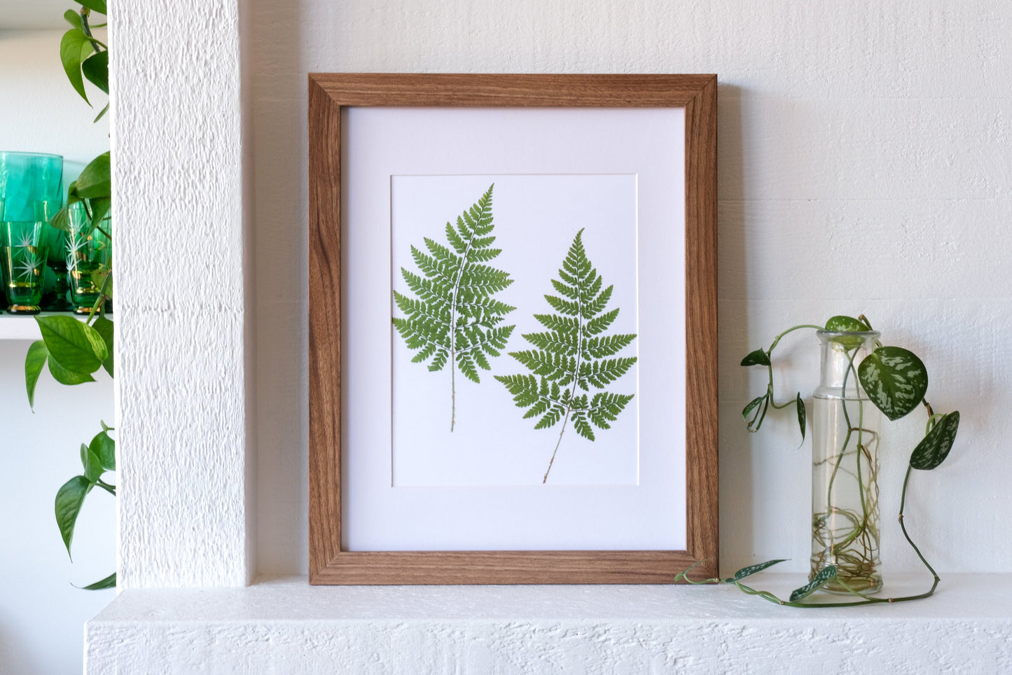 Pressed Fern Duo Art Print | 8x10 Print