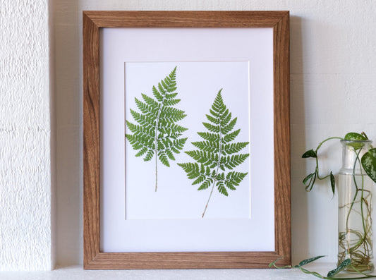 Pressed Fern Duo Art Print | 8x10 Print