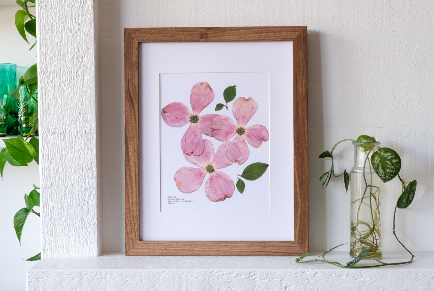 Pink Dogwood Pressed Flower Art Print | 8x10