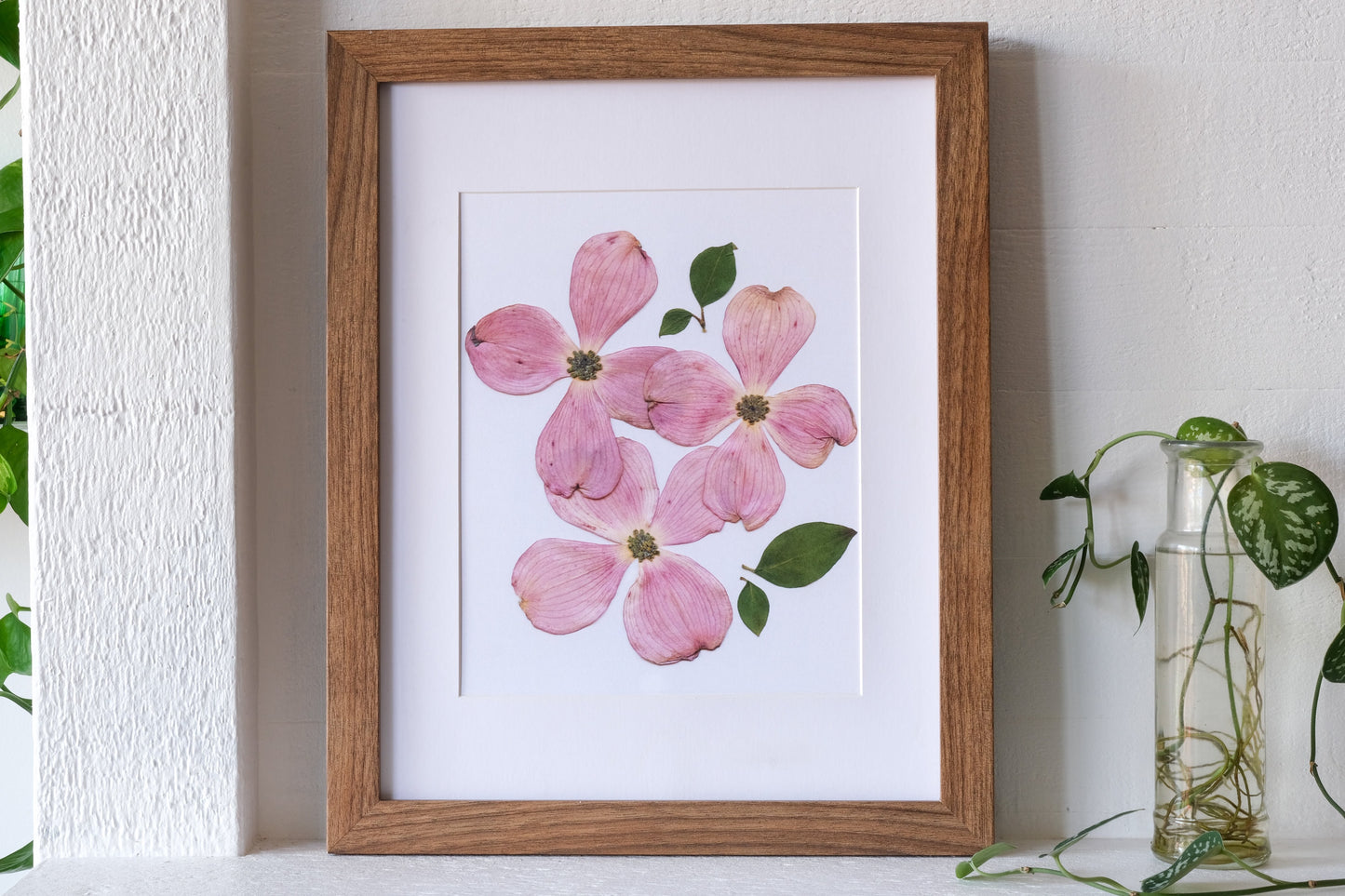 Pink Dogwood Pressed Flower Art Print | 8x10