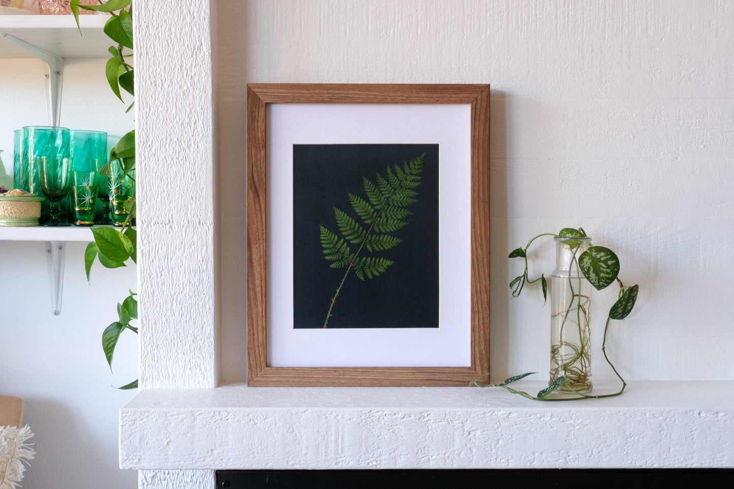 Pressed Fern Print on Black Background | 8x10