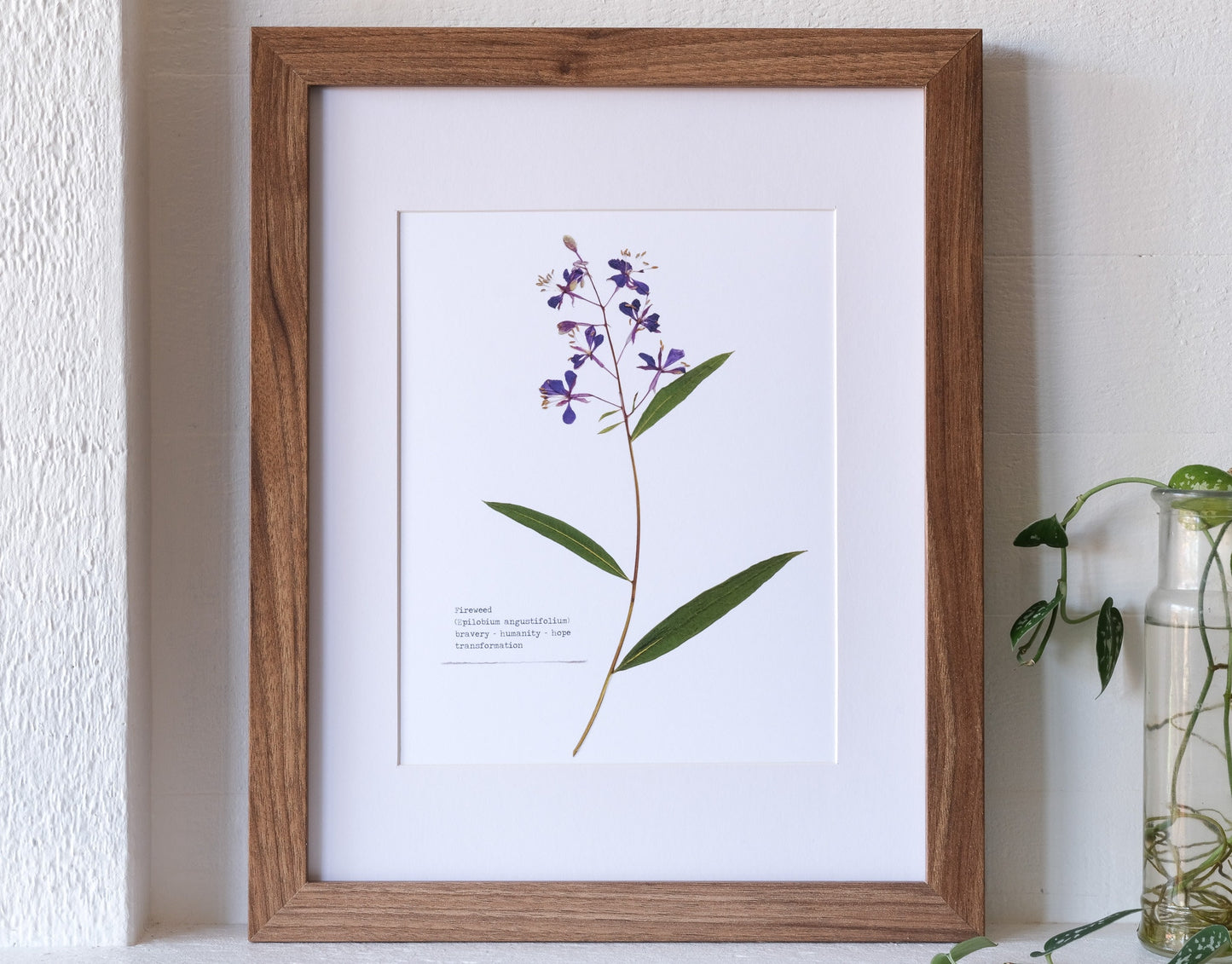 Fireweed Pressed Flower Print | 8 x 10