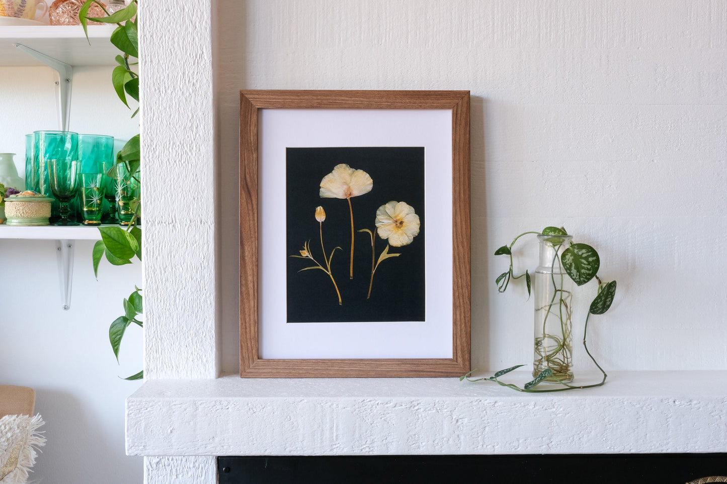 Yellow Ranunculus Trio Pressed Flower Print | 8x10